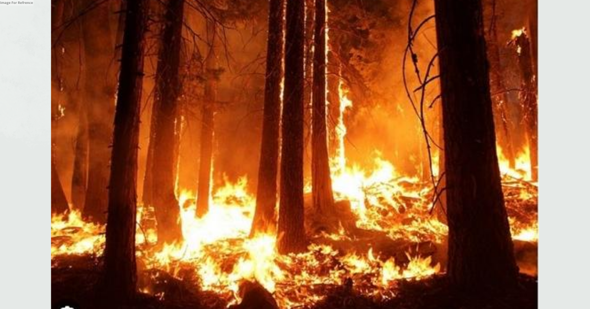 Canada: 35,000 people under evacuation orders in British Columbia as wildfires intensify
